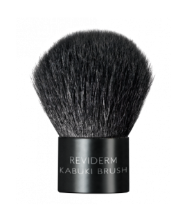 Kabuki brush